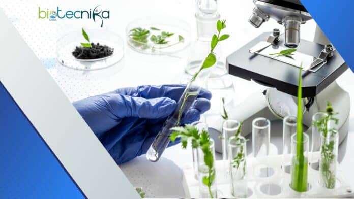 Biological Science Research Associate Job @ Dana-Farber Cancer Institute