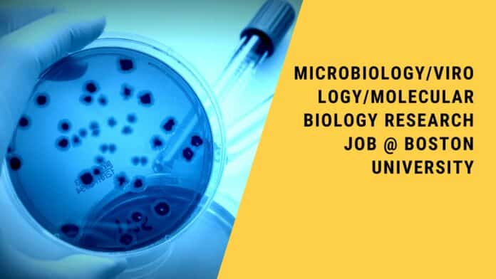 Microbiology/Virology/Molecular biology Research Job @ Boston University