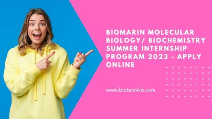 BioMarin Molecular Biology/ Biochemistry Summer Internship Program 2023 - Apply Online