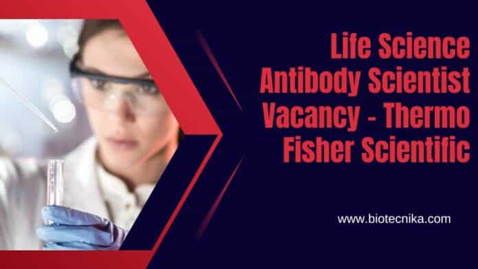 Life Science Antibody Scientist Vacancy - Thermo Fisher Scientific