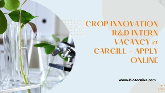 Crop Innovation R&D Intern Vacancy @ Cargill - Apply Online
