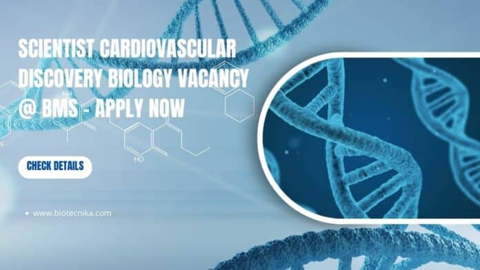 Scientist Cardiovascular Discovery Biology Vacancy @ BMS - Apply Now