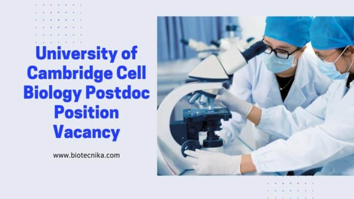 University of Cambridge Cell Biology Postdoc Position Vacancy