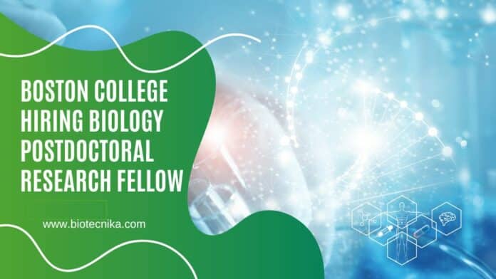 Boston College Hiring Biology Postdoctoral Research Fellow