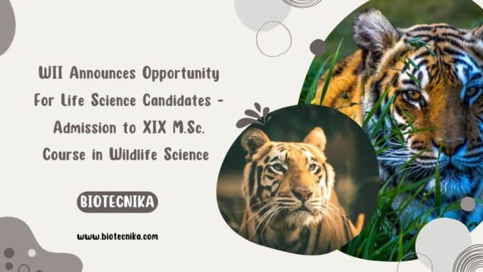 WII Announces Opportunity For Life Science Candidates - Admission to XIX M.Sc. Course in Wildlife Science