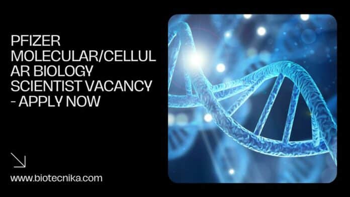 Pfizer Molecular/Cellular Biology Scientist Vacancy - Apply Now