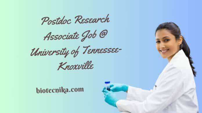 Postdoc Research Associate Job @ University of Tennessee-Knoxville