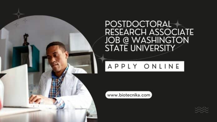 Postdoctoral Research Associate Job @ Washington State University
