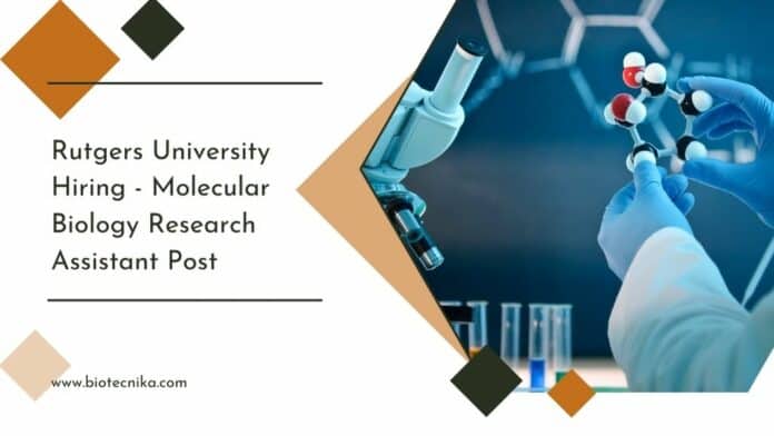 Rutgers University Hiring - Molecular Biology Research Assistant Post