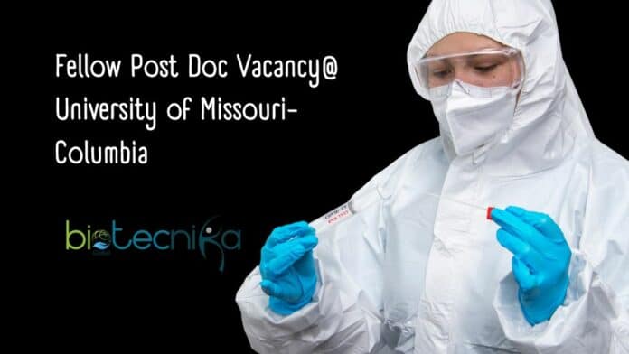 Fellow Post Doc Vacancy@ University of Missouri-Columbia
