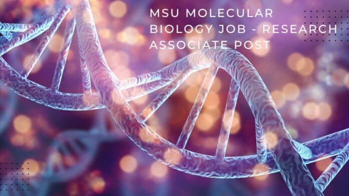 MSU Molecular Biology Job - Research Associate Post