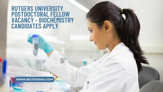 Rutgers University Postdoctoral Fellow Vacancy - Biochemistry Candidates Apply