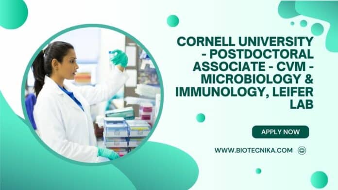 Cornell University - Postdoctoral Associate - CVM - Microbiology & Immunology, Leifer Lab