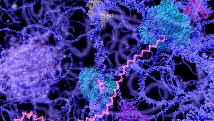 MIT and Federal Government Collaborate on M Project to Revolutionize mRNA Manufacturing
