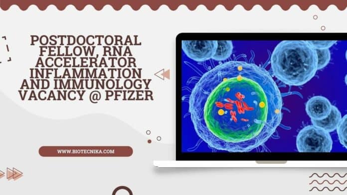 Postdoctoral Fellow, RNA Accelerator Inflammation and Immunology Vacancy @ Pfizer
