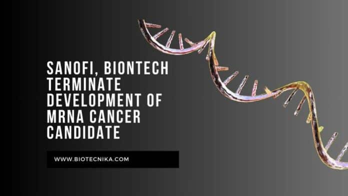 Sanofi, BioNTech terminate development of mRNA cancer candidate