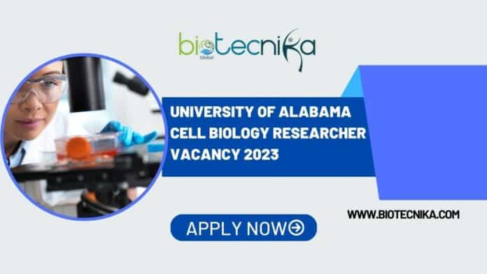 University of Alabama Cell Biology Researcher Vacancy 2023