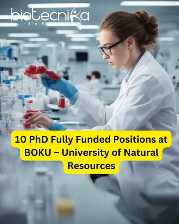 10 PhD Fully Funded Positions at BOKU – University of Natural Resources, Vienna in Austria