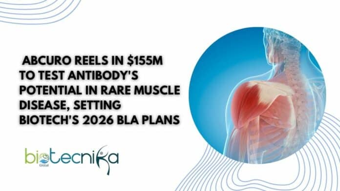 Abcuro reels in 5M to test antibody's potential in rare muscle disease, setting biotech's 2026 BLA plans