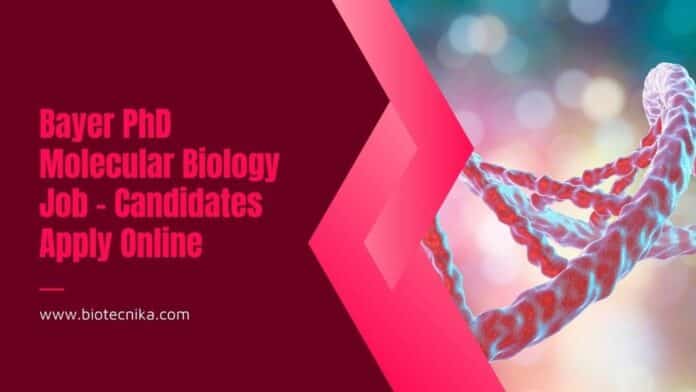 Bayer PhD Molecular Biology Job - Candidates Apply Online