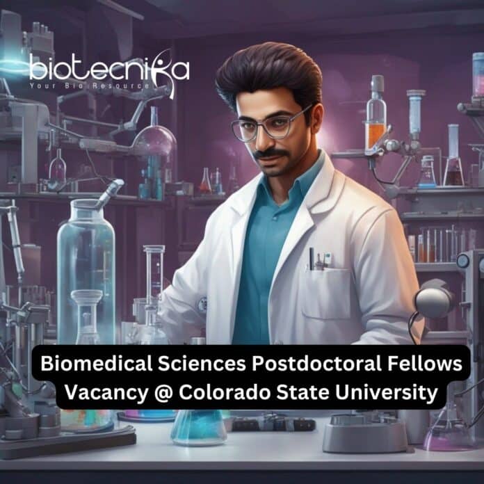 Biomedical Sciences Postdoctoral Fellows Vacancy @ Colorado State University