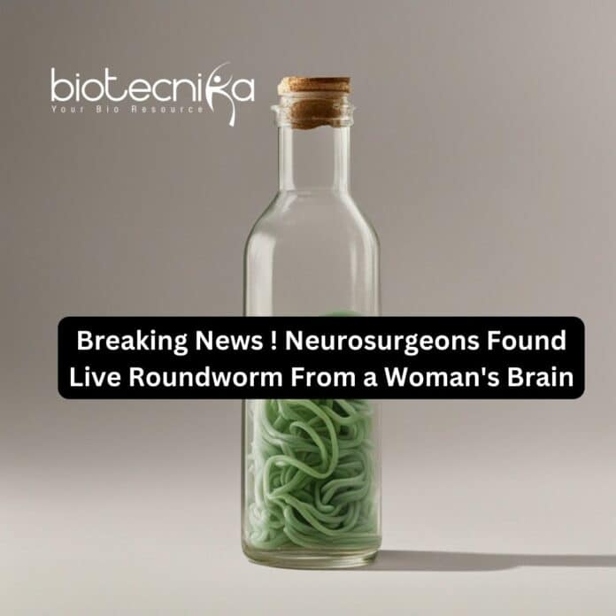 Breaking News ! Neurosurgeons Found Live Roundworm From a Woman's Brain