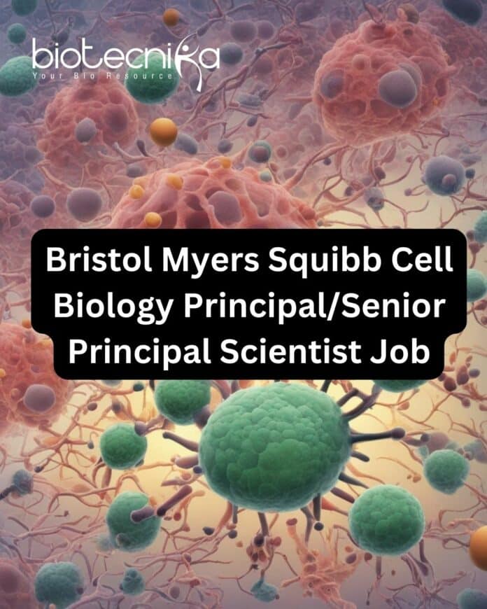 Bristol Myers Squibb Cell Biology Principal/Senior Principal Scientist Job