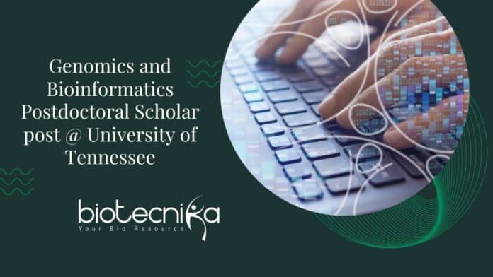 Genomics and Bioinformatics Postdoctoral Scholar post @ University of Tennessee