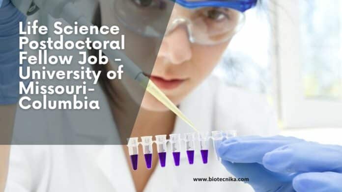 Life Science Postdoctoral Fellow Job - University of Missouri-Columbia
