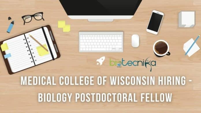 Medical College of Wisconsin Hiring - Biology Postdoctoral Fellow