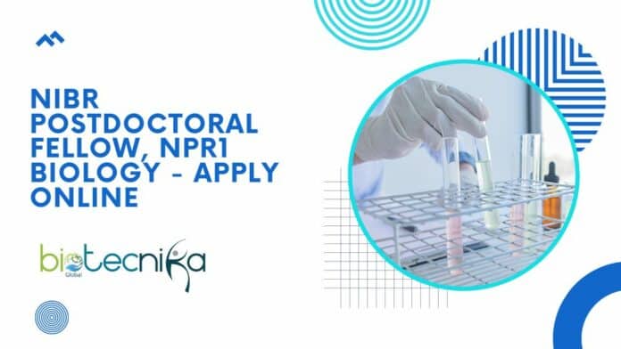 NIBR Postdoctoral Fellow, NPR1 Biology - Apply Online