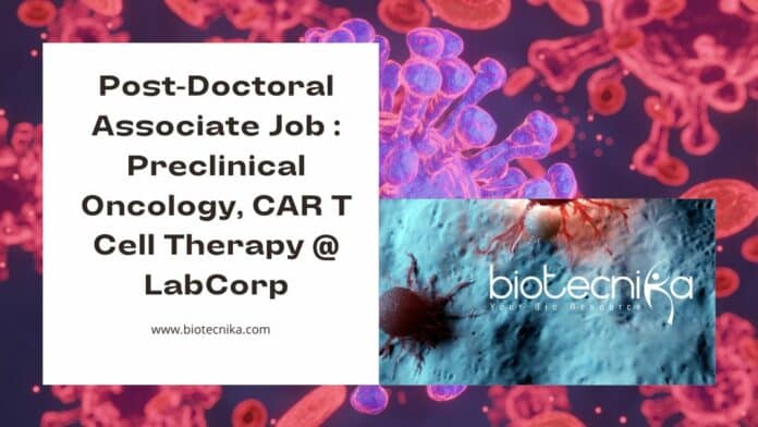 Post-Doctoral Associate Job : Preclinical Oncology, CAR T Cell Therapy @ LabCorp