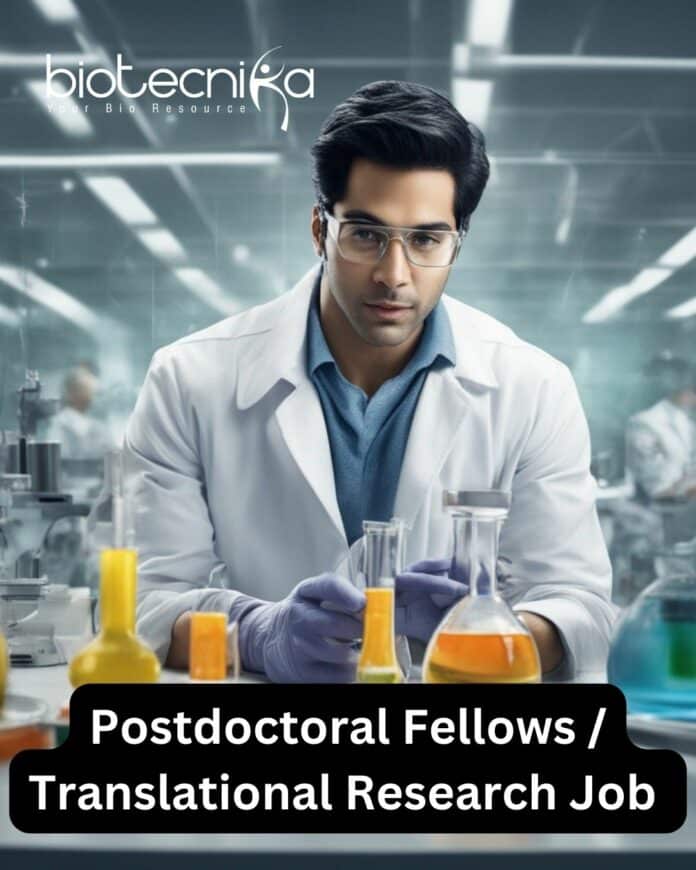 Postdoctoral Fellows / Translational Research Job @ University of Maryland School of Medicine