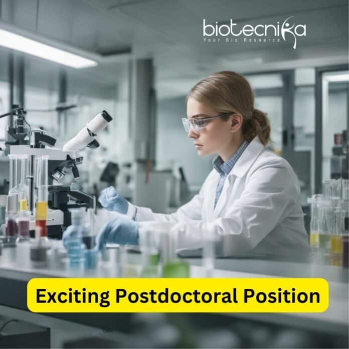 Postdoctoral Position