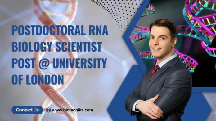 Postdoctoral RNA biology Scientist Post @ University of London