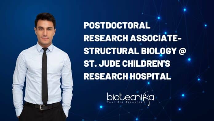 Postdoctoral Research Associate-Structural Biology @ St. Jude Children's Research Hospital