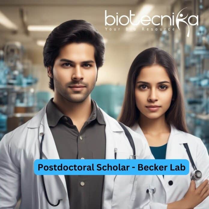 Postdoctoral Scholar - Becker Lab
