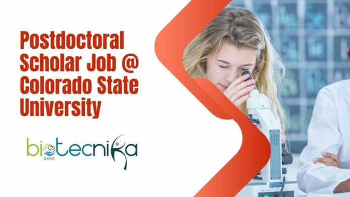 Postdoctoral Scholar Job @ Colorado State University
