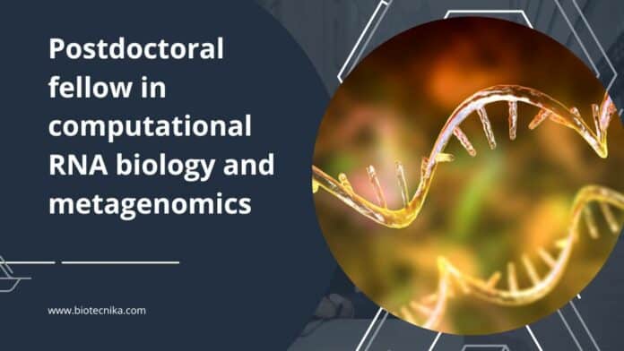 Postdoctoral fellow in computational RNA biology and metagenomics