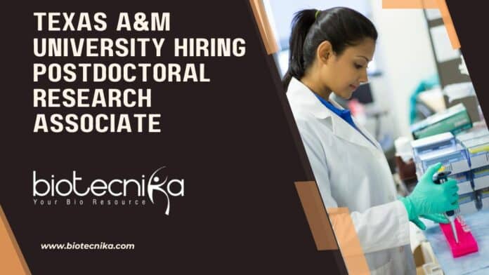Texas A&M University Hiring Postdoctoral Research Associate