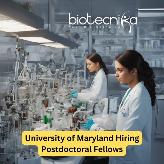 University of Maryland Hiring Postdoctoral Fellows - Cell Biology/Molecular Biology Apply