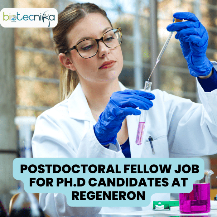 Regeneron Hiring Ph.D Candidates For Postdoctoral Fellow Position