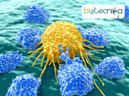 Alarming Rise: Cancer Rates in Under-50s Surge by 80% Over 30 Years
