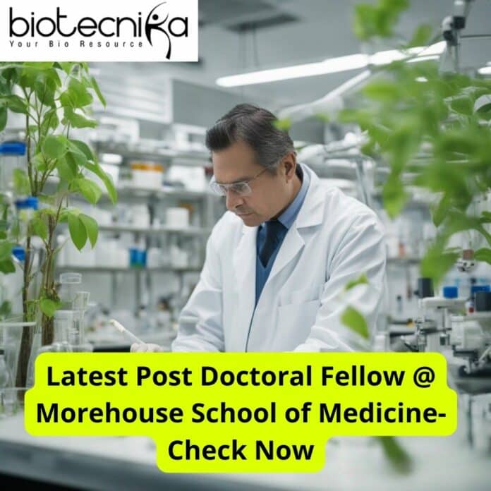 Latest PhD Jobs
