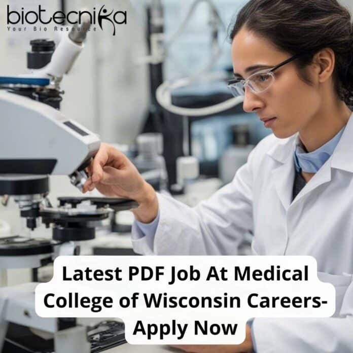PDF Latest Job