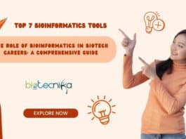 The Role of Bioinformatics in Biotech Careers: A Comprehensive Guide