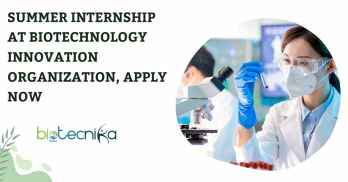Summer Internship at Biotechnology Innovation