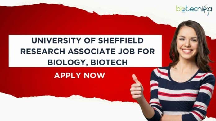 University of Sheffield Research Associate