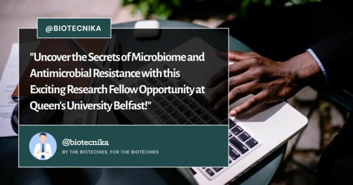 Queen's University Belfast Research Fellow Job Opening, Apply Online