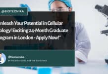 Exciting 24-Month Graduate Program in London at MSD – Apply Now! "Unleash Your Potential in Cellular Biology! Exciting 24-Month Graduate Program in London - Apply Now!"